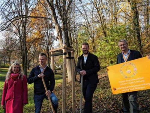 Bei der Baumpflanzaktion: (von links) Birgit Weichselgartner, Tobias Au, Bürgermeister Michael Hetzl, Peter Malcher.Foto re