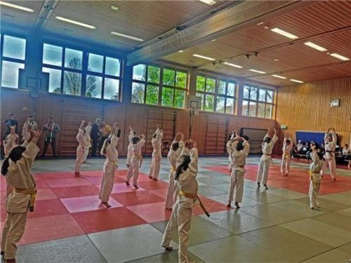 Dem SVO-Judo wurde die Auszeichnung „Top-Verein“ überreicht und dokumentiert die gute Jugendarbeit im Judo. Foto Stache