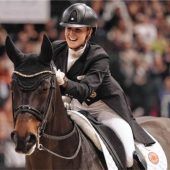 Diallo BB doch nicht am Bornavirus gestorben