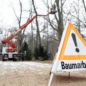 Bäume müssen für die Verkehrssicherheit weichen