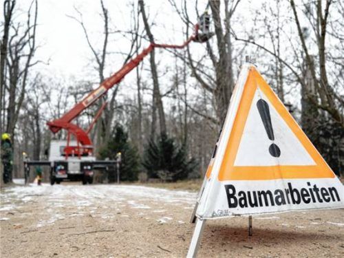 Die Baumpflegemaßnahmen (Symbolfoto) dienen der Sicherheit der Verkehrswege.Foto  dpa