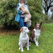 Die mit den Hunden tanzt