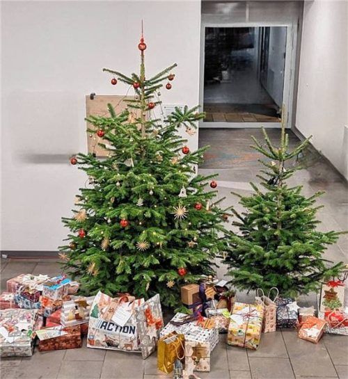 Ein besonderer Wunsch im letzten Jahr war der nach einem geschmückten Weihnachtsbäumchen. Der Weihnachtsschmuck befand sich in einem separaten Päckchen.Foto Auer