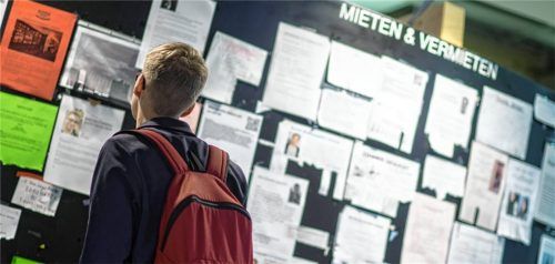 Ein Student betrachtet Wohnungsanzeigen am Schwarzen Brett einer Universität. Foto dpa