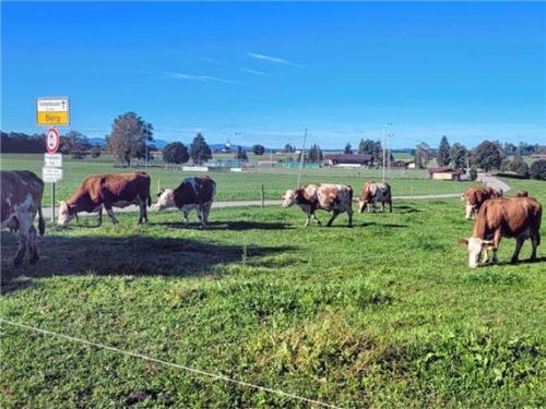 Eine landwirtschaftliche Fläche bei Berg – Symbol für schützenswerte Tradition.Foto  Stache