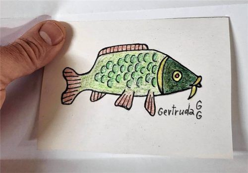 Er ist wieder da: In einem Briefumschlag ohne Absender kam der kleine Karpfen der Künstlerin Gertruda Gruber-Göpfertova zurück zum Gocklwirt. Foto Huber