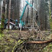 Landwirte retten Toteiskesselweg