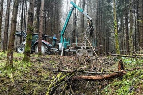 Mit dem Kran eines Rückewagens werden Schneebruchschäden aus einem Toteiskessel gezogen. Foto Konrad Lipp.