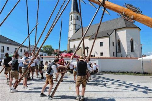 Mit Muskelkraft gestemmt: Der Maibaum steht.Foto Kirsten Seitz
