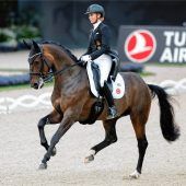 Verdacht auf Bornavirus als Todesursache