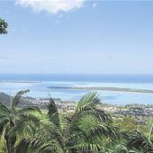 Dim Sum, Traumstrände & Teeplantagen