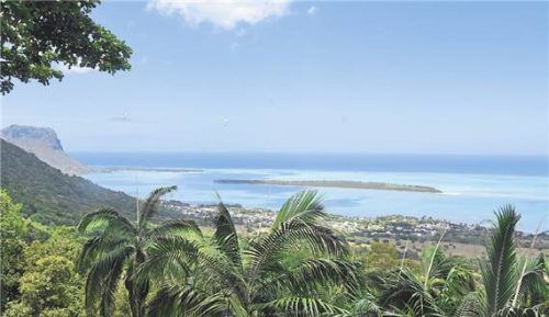 Palmentraum: Diesen Blick (o.) hat man vom La Chamarel aus. Links: Tourguide Christophe.