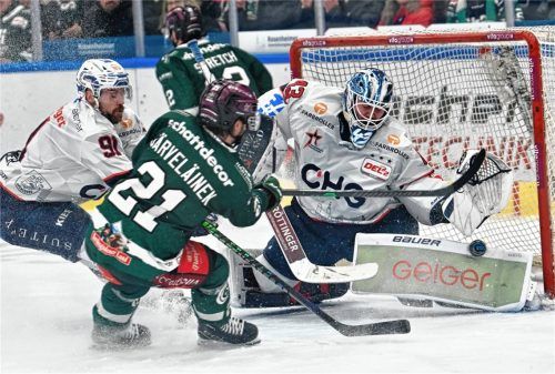 Ravensburgs Goalie Ilya Sharipov ist der DEL2-Goalie mit den meisten Shutouts gegen die Starbulls.Foto Hans-Jürgen Ziegler
