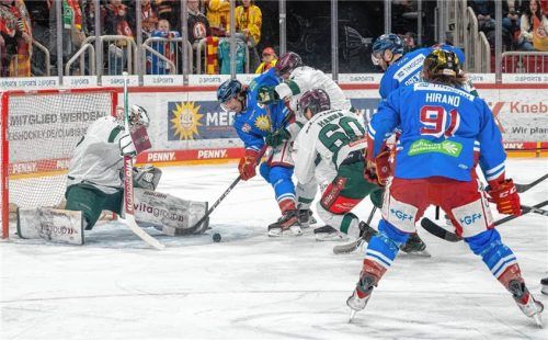 Starke Torwartleistung: Starbulls-Goalie Christopher Kolarz (links) überzeugte auch gegen Düsseldorf mit einer Glanzleistung zweischen den Pfosten.Foto Imago