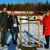 Bäume am Tierheim gepflanzt