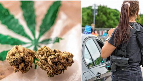 Verräterischer Geruch: Eine Polizeibeamtin in Zivil wurde im Zug auf den Marihuana-Geruch aus dem Rucksack eines Fahrgasts aufmerksam. Ihr Verdacht erwies sich als richtig: In dem Gepäckstück fand die Polizei weit über ein Kilogramm an verschiedensten Drogen. Fotos IMAGO / ActionPictures / Bihlmayerfotografie