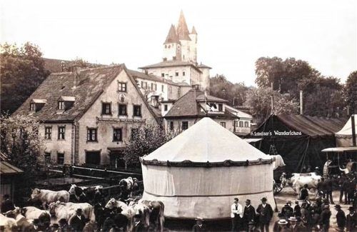 Viehmarkt 1908 am Bräuhausplatz (Archiv Meindl). Foto meindl