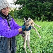 Wenn die Drohne zum Lebensretter wird