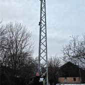 Störche dürfen nicht schwarzsehen