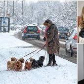 Tiere und Pflanzen leiden unter Streusalz