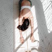 Wenn Yoga zum Albtraum wird