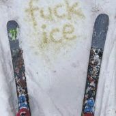 Pinkel-Protest: Keine Strafe