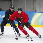 Das Draisaitl-Netzwerk