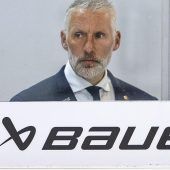 Die Themen der DEB-Analyse