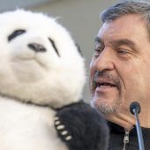 Grüne wollen Panda-Plan stoppen