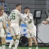 Löwen pirschen sich ran