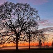 Farbenspiel am Abend