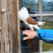 23-mal in Folge deutscher Meister