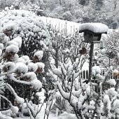 Der Winter gibt ein Comeback