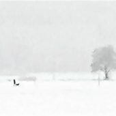 Westerham im Whiteout