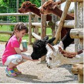 Zukunftspläne für Oberreith