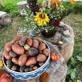 Aktionen für die Jugend