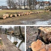 Kahlschlag im Eichental