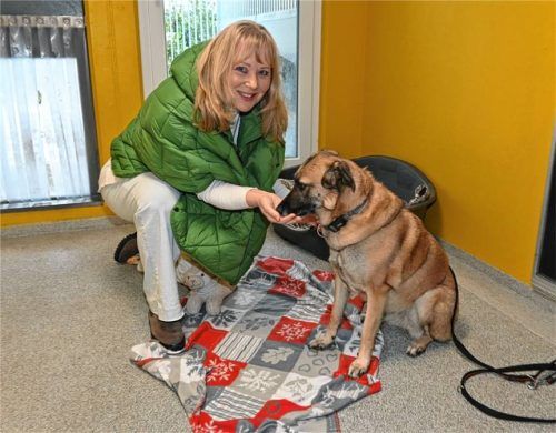 Andrea Thomas, Vorsitzende des Rosenheimer Tierschutzvereins, hat im OVB-Gespräch aufgrund der finanziellen Lage des Tierheims Alarm geschlagen. Foto Schlecker