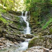 Frische Ideen für Frühjahr und Sommer