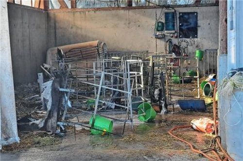 Bei dem Feuer entstand laut Polizei ein Schaden von mehr als 30.000 Euro. Vier Personen zogen sich Rauchgasvergiftungen zu.Foto Hadersbeck