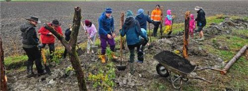 Bei der Pflanzaktion haben Gemeinde und Ehrenamtliche Hand in Hand gearbeitet.