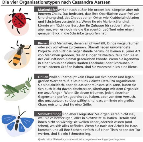 Biene, Grille, Schmetterling oder doch Marienkäfer? Cassandra Aarssen teilt die unterschiedlichen Ordnungstypen in Insekten auf. Klinger