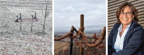 Das Lachen ist ihr vergangen: Über die jüngsten Zerstörungen in der Gemeinde muss sich Kraiburgs Bürgermeisterin Petra Jackl sehr ärgern. Fotos Gemeinde / Schindler