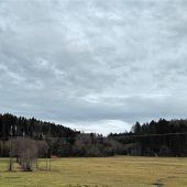 Unverständnis über Windradstandorte