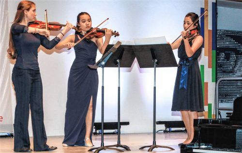 Das Streicherensemble beim Preisträgerkonzert des 63. Wettbewerbs von „Jugend musiziert“ in Traunstein.Foto Effner