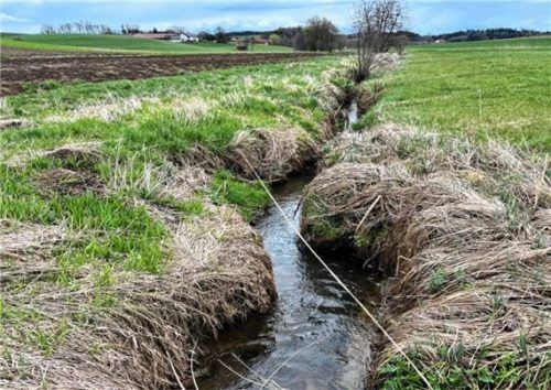 Der Aidenbach soll renaturiert werden. Foto stn