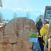 Eine „Braut“ für 6.854 Euro pro Festmeter