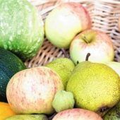 Prien will nachhaltigen Handel fördern