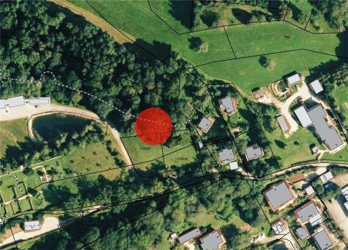 Die Vorgehensweise störte zahlreiche Gemeinderäte in der jüngsten Sitzung. Moniert wurde, dass die Untere Naturschutzbehörde nicht vorab den Grundstückseigentümer mit einbezogen hat. Dachs.