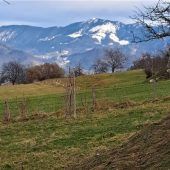 Vom Bichl übers Eck zum Stein und Spitz